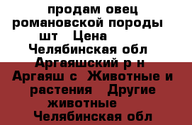 продам овец романовской породы 9 шт › Цена ­ 200 - Челябинская обл., Аргаяшский р-н, Аргаяш с. Животные и растения » Другие животные   . Челябинская обл.